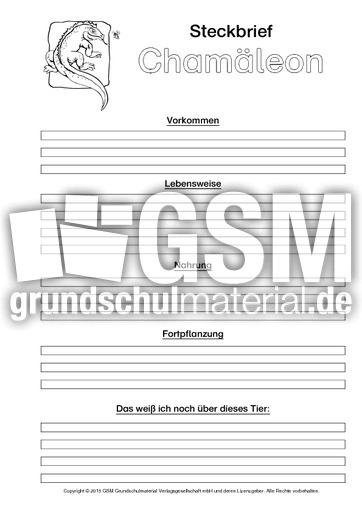 Chamäleon-Steckbriefvorlage-sw-2.pdf